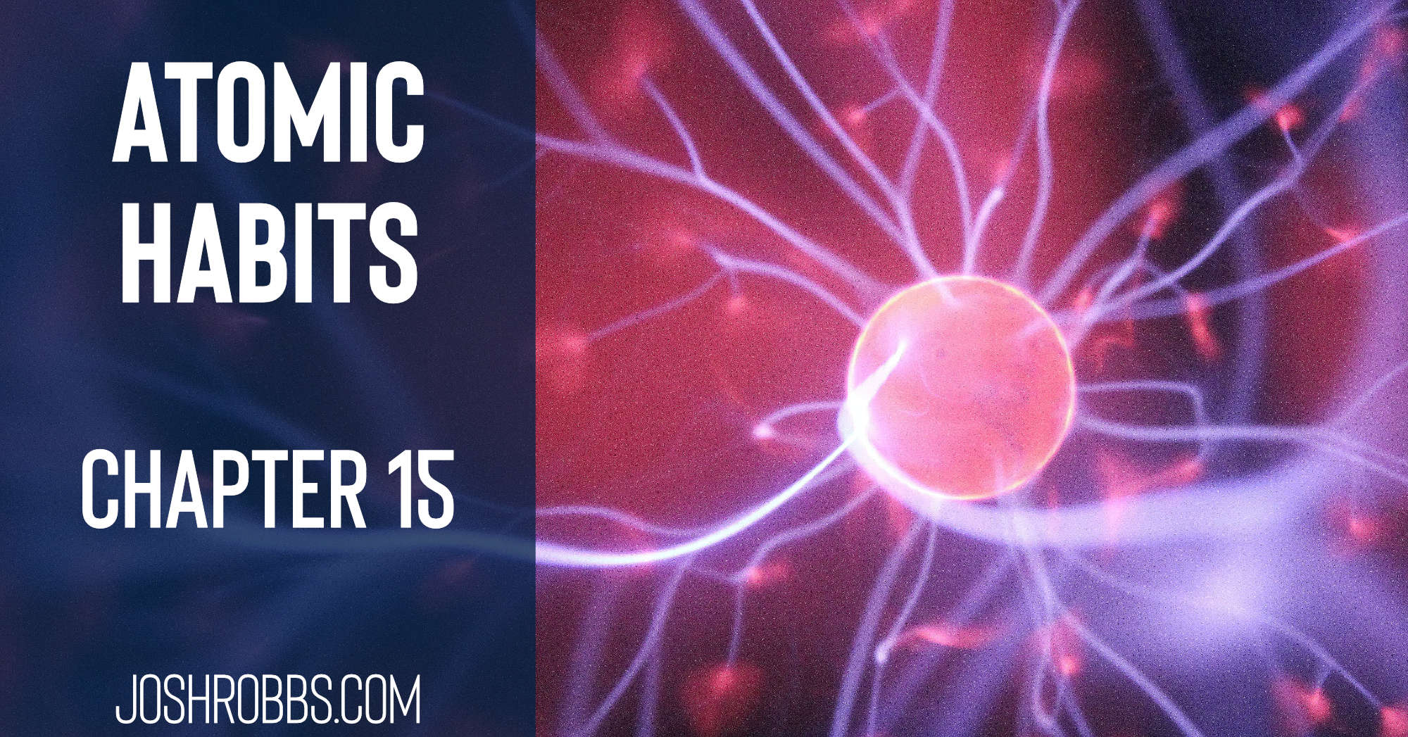 Atomic Habits chapter 15 Josh's Reading Notes